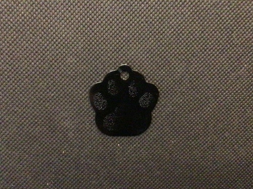 Engraved Pet Name Tag - Imagen 26