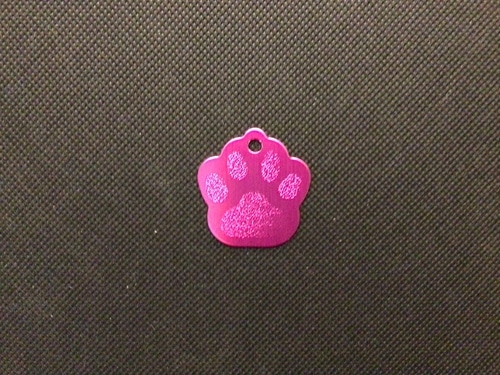 Engraved Pet Name Tag - Imagen 19