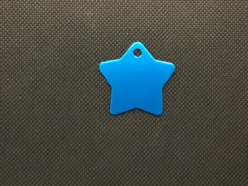 Engraved Pet Name Tag - Imagen 15