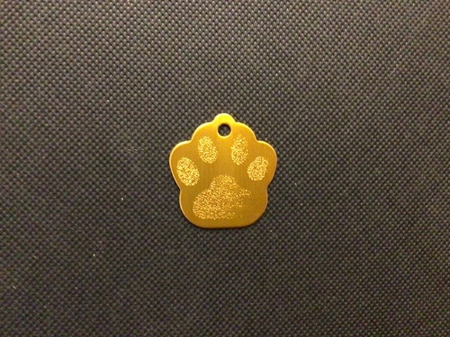 Engraved Pet Name Tag - Imagen 22