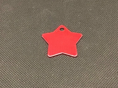 Engraved Pet Name Tag - Imagen 13