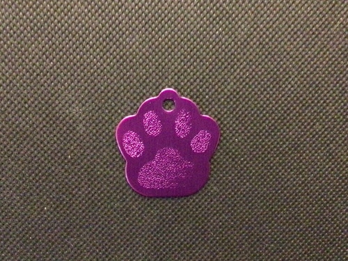 Engraved Pet Name Tag - Imagen 24