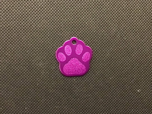 Engraved Pet Name Tag - Imagen 44