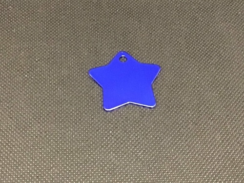 Engraved Pet Name Tag - Imagen 45