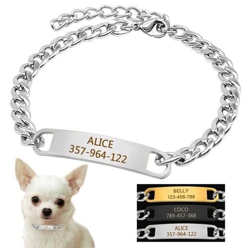 Dog Training Collar with ID Dog Tag Snake P Slip