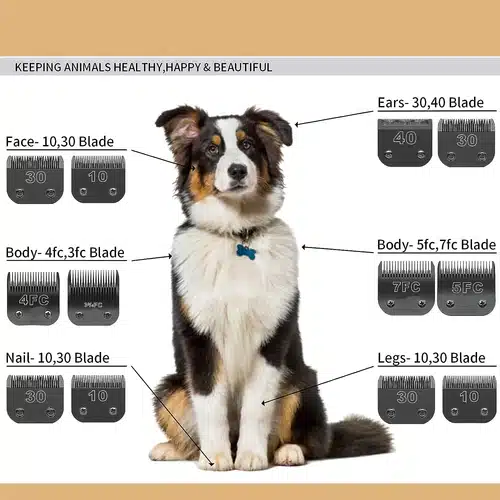 Cuchillas Profesionales para Máquina de Corte — Acero Inoxidable para Grooming Canino - Imagen 4